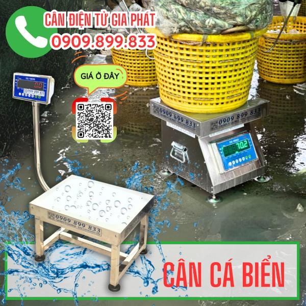 Cân điện tử inox chống nước cân cá biển cân cá nước mặn