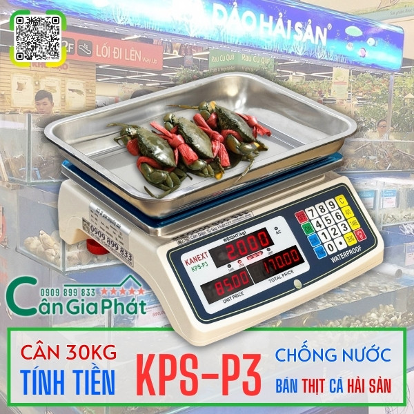 C&acirc;n t&iacute;nh tiền chống nước KPS-P3 30kg b&aacute;n thịt c&aacute; hải sản