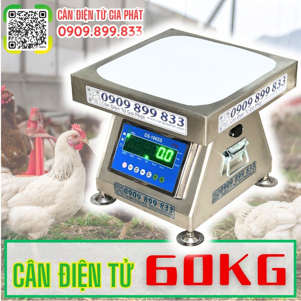 C&acirc;n điện tử 60kg c&acirc;n g&agrave; vịt - C&acirc;n Điện Tử Gia Ph&aacute;t