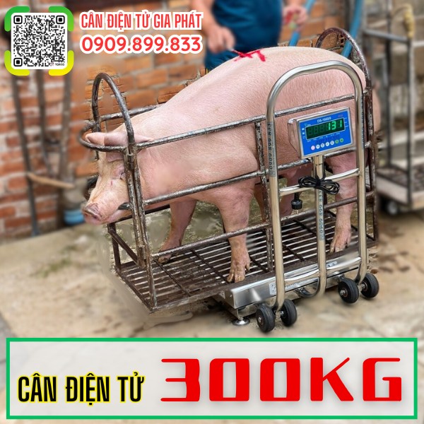 Cân điện tử 300kg cân heo cân lợn chốt số inox chống nước