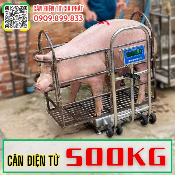 Cân điện tử 500kg cân heo cân lợn inox chống nước