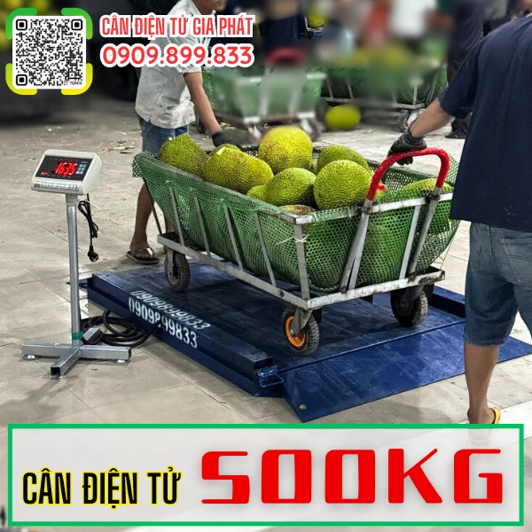 Cân điện tử 500kg cân mít Miền Tây