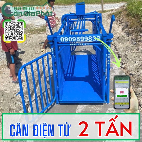 C&acirc;n điện tử 2 tấn - c&acirc;n heo 2 tấn - c&acirc;n heo cảm biến tr&ecirc;n