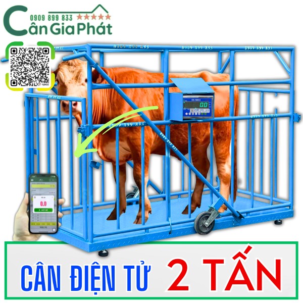 C&acirc;n điện tử 2 tấn - c&acirc;n b&ograve; 2 tấn - c&acirc;n tr&acirc;u b&ograve; 2 tấn