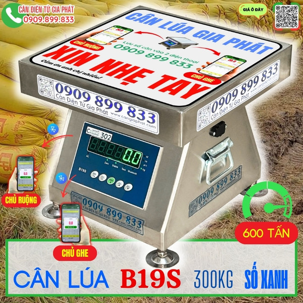 Cân lúa 100kg 200kg 300kg 500kg B19S số xanh Mỹ cân 300 tấn 600 tấn