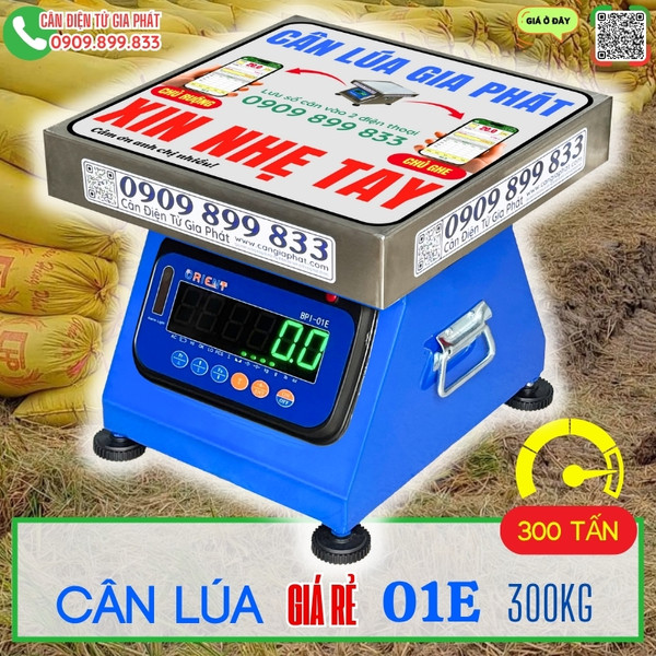 Cân điện tử cân lúa giá rẻ 01E 200kg 300kg 500kg số xanh