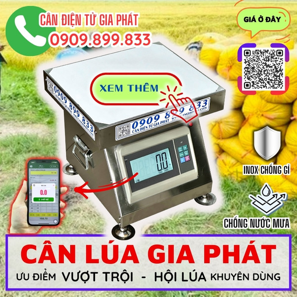 Cân điện tử cân lúa