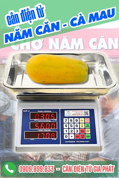 Cân điện tử ở Năm Căn Cà Mau - Cân Gia Phát