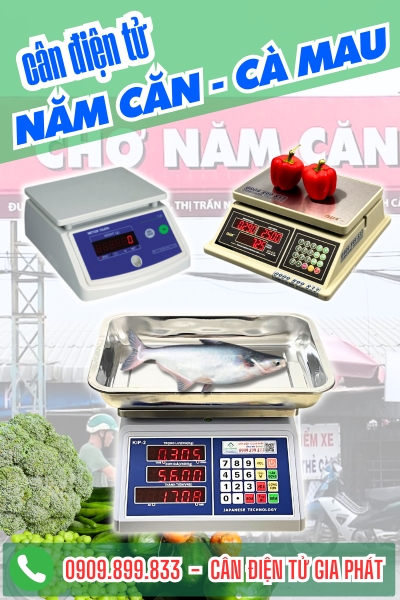 Cân điện tử ở Năm Căn Cà Mau - Cân Gia Phát