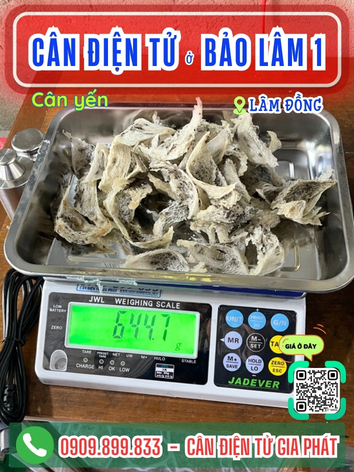 -can-dien-tu-bao-lam-1-lam-dong-can-gia-phat