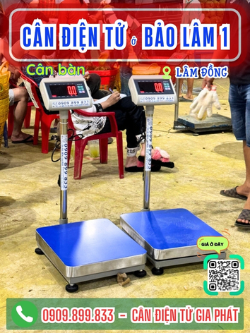 -can-dien-tu-bao-lam-1-lam-dong-can-gia-phat