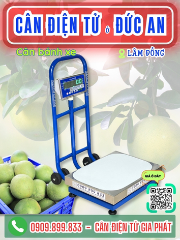 C&acirc;n điện tử ở Đức An L&acirc;m Đồng - C&acirc;n Gia Ph&aacute;t