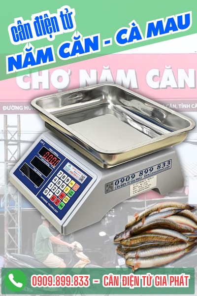 Cân điện tử ở Năm Căn Cà Mau - Cân Gia Phát