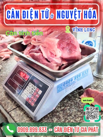 C&acirc;n điện tử ở Nguyệt H&oacute;a Vĩnh Long - C&acirc;n Gia Ph&aacute;t