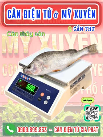 Cân điện tử ở Mỹ Xuyên Cần Thơ - Cân Gia Phát