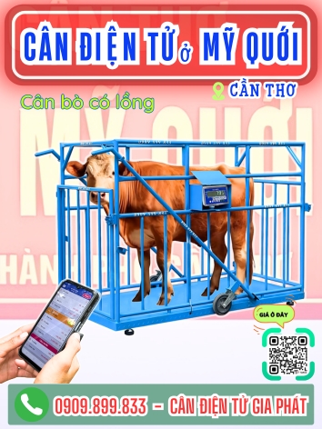 C&acirc;n điện tử ở Mỹ Qưới Cần Thơ - C&acirc;n Gia Ph&aacute;t