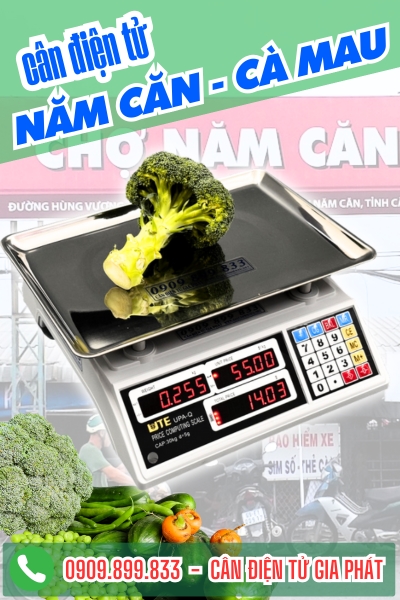 Cân điện tử ở Năm Căn Cà Mau - Cân Gia Phát