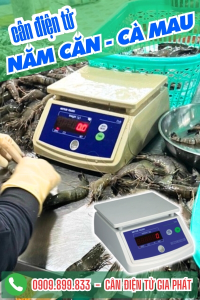 Cân điện tử ở Năm Căn Cà Mau - Cân Gia Phát
