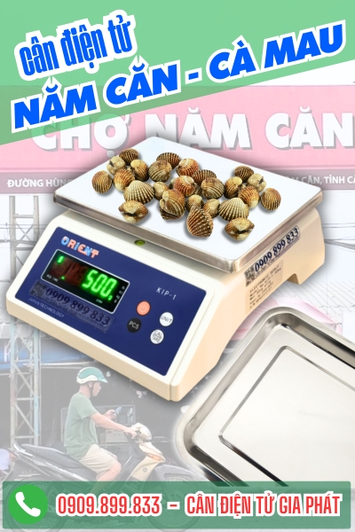 Cân điện tử ở Năm Căn Cà Mau - Cân Gia Phát