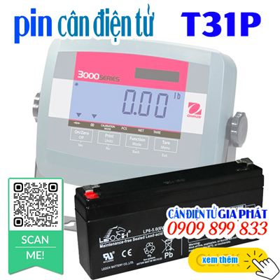 Pin cân điện tử T31P