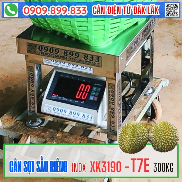 Cân điện tử ở ĐăkLăk cân sầu riêng inox T7E 200kg 300kg