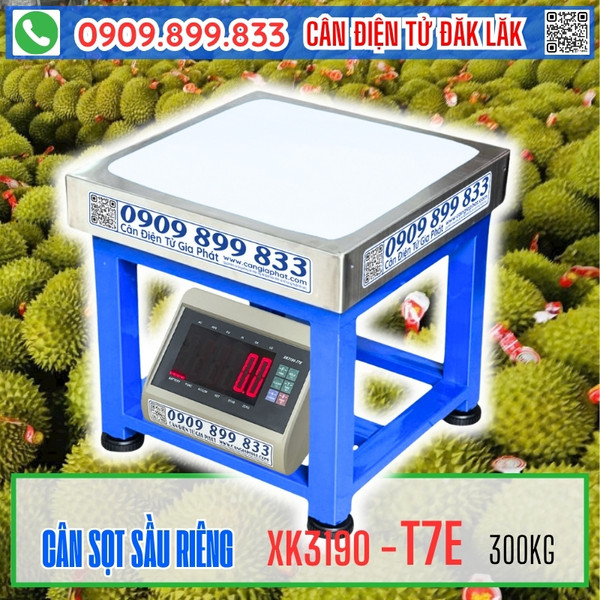 Cân điện tử Đăk Lăk - cân sọt sầu riêng 150kg 200kg 300kg