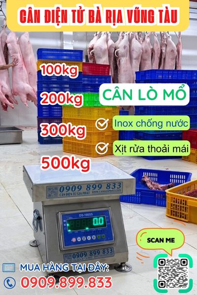Cân điện tử Bà Rịa Vũng Tàu - cân lò mổ 100kg 200kg 300kg 500kg