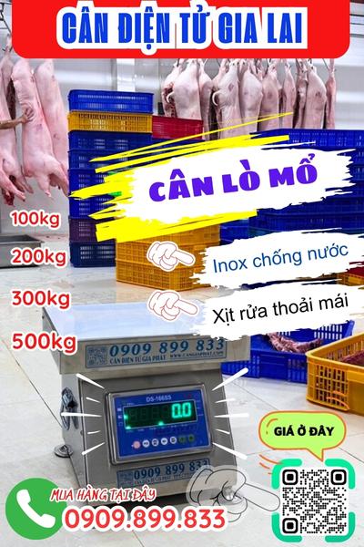 Cân điện tử Gia Lai - cân lò mổ 100kg 200kg 300kg 500kg