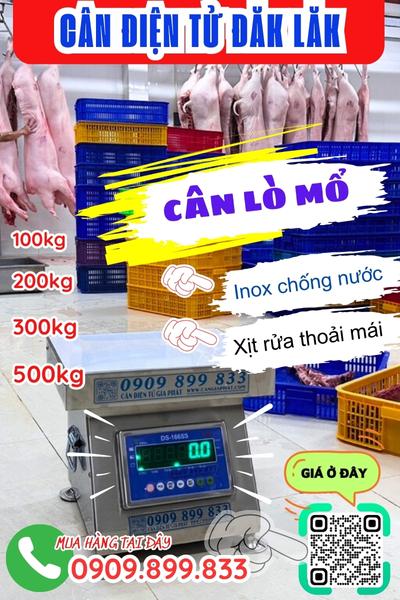 Cân điện tử Đăk Lăk - cân lò mổ 100kg 200kg 300kg 500kg