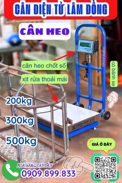 Cân điện tử Lâm Đồng - cân heo 200kg 300kg 500kg chốt số & chống nước