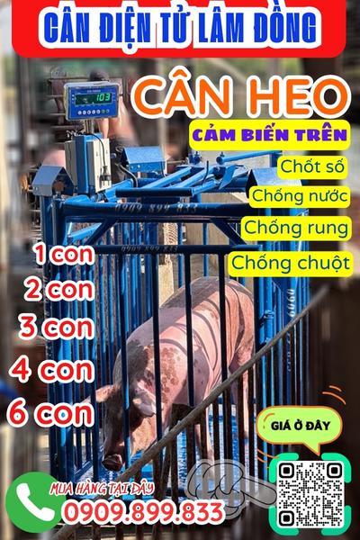 Cân điện tử Lâm Đồng - cân điện tử cân heo 200kg 300kg 500kg