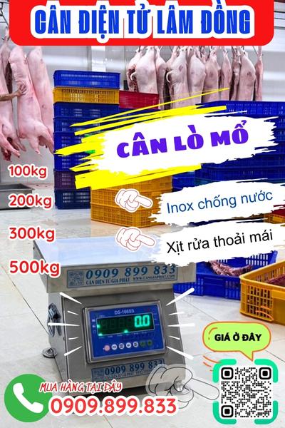 Cân điện tử Lâm Đồng - cân lò mổ 100kg 200kg 300kg 500kg