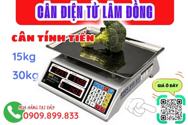 Cân điện tử Lâm Đồng - cân tính tiền siêu thị 15kg 30kg