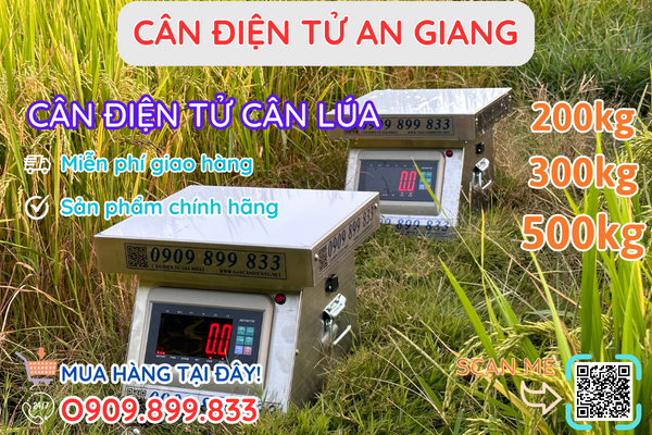 Cân điện tử An Giang, nơi bán cân điện tử chính hãng, giá rẻ và uy tín!