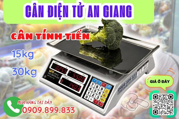 Cân điện tử An Giang - cân tính tiền siêu thị 15kg 30kg