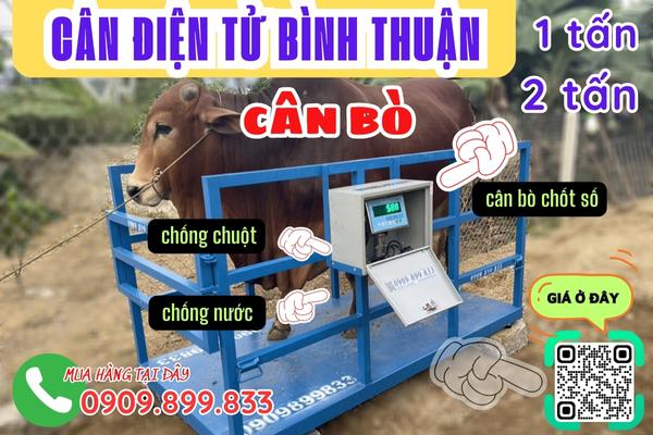 Cân điện tử Bình Thuận - cân điện tử cân bò 1 tấn 2 tấn