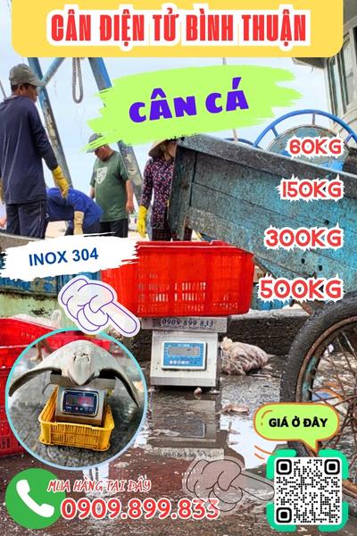 Cân điện tử Bình Thuận - cân điện tử cân cá 100kg 200kg 300kg 500kg