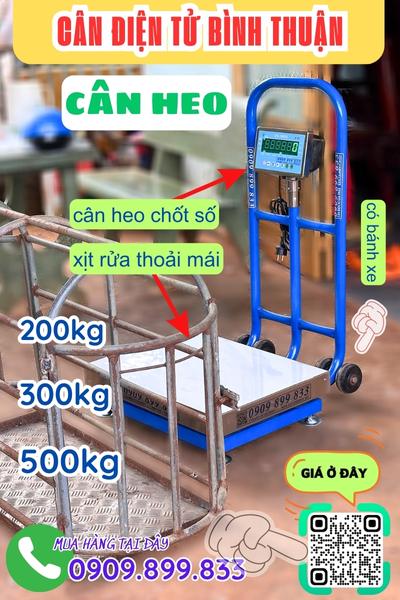 Cân điện tử Bình Thuận - cân heo 200kg 300kg 500kg chốt số & chống nước