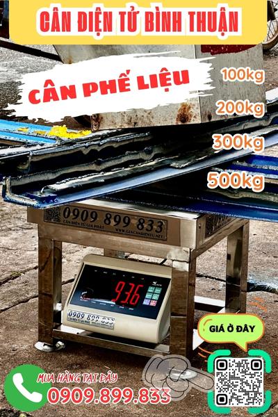 Cân điện tử Bình Thuận - cân điện tử cân phế liệu 200kg 300kg 500kg