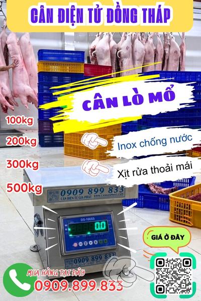 Cân điện tử Đồng Tháp - cân lò mổ 100kg 200kg 300kg 500kg