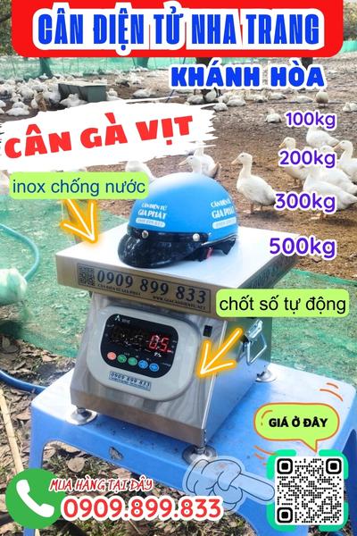 Cân điện tử Khánh Hòa - cân gà vịt 100kg 200kg 300kg 500kg