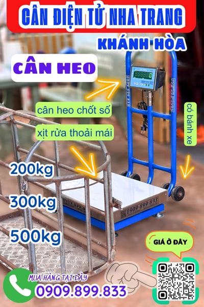 Cân điện tử Khánh Hòa - cân heo 200kg 300kg 500kg chốt số & chống nước