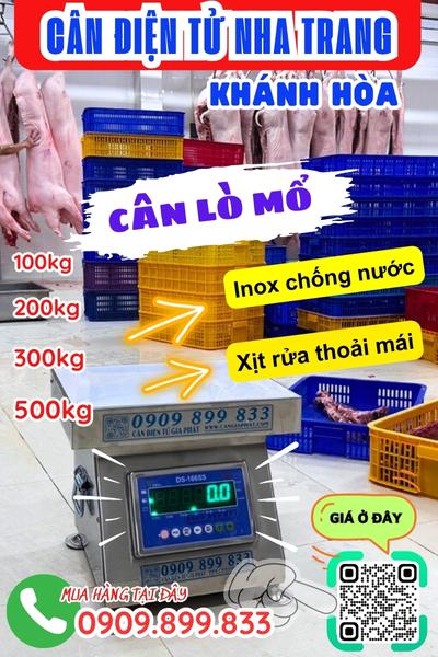 Cân điện tử ở Nha Trang Khánh Hòa - cân lò mổ 100kg 200kg 300kg 500kg