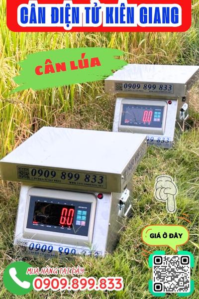 Cân điện tử Kiên Giang - cân lúa 100kg 200kg 300kg inox chống nước