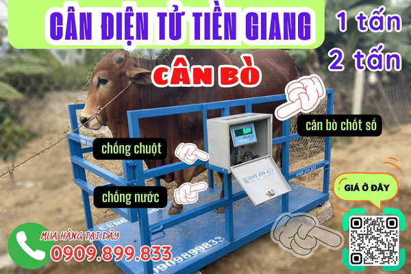 Cân điện tử Tiền Giang - cân điện tử cân bò 1 tấn 2 tấn