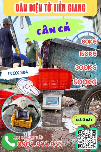 Cân điện tử Tiền Giang - cân điện tử cân cá 100kg 200kg 300kg 500kg