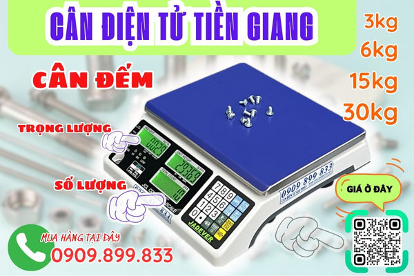 Cân điện tử Tiền Giang - cân đếm điện tử 3kg 6kg 15kg 30kg 60kg 150kg 300kg 500kg