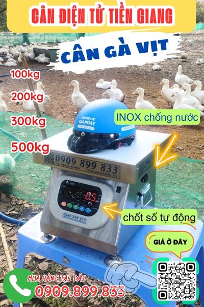 Cân điện tử Tiền Giang - cân gà vịt 100kg 200kg 300kg 500kg
