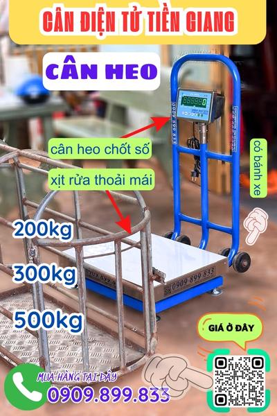 Cân điện tử Tiền Giang - cân heo 200kg 300kg 500kg chốt số & chống nước