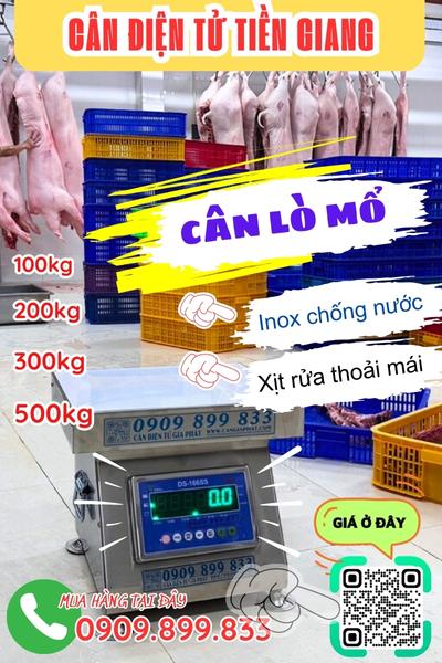 Cân điện tử Tiền Giang - cân lò mổ 100kg 200kg 300kg 500kg